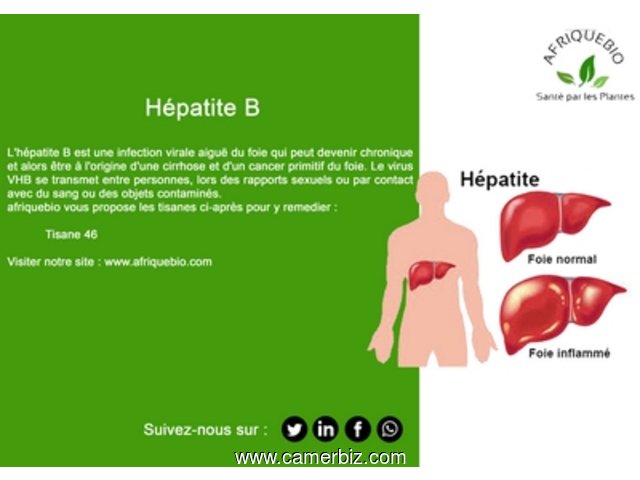 Traitement Naturel de l'Hépatite B - 10520