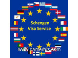 VISA AFFAIRES SCHENGEN - 20530