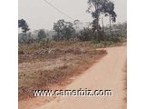 Terrain Titré  et Lotis à Yaoundé (Mehandan par Odza). - 23808