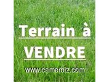 Terrains titrés à Fifinda, de 1ha à 60 hectares