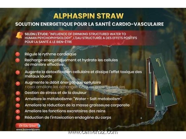 ALPHA SPIN STRAW BZZWORLD  - 34479