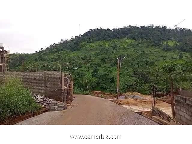 Terrain titré à vendre à Mbankolo Yaoundé. SUPERFICIE: 600m². PRIX: 45.000 FCFA/m2  - 34649