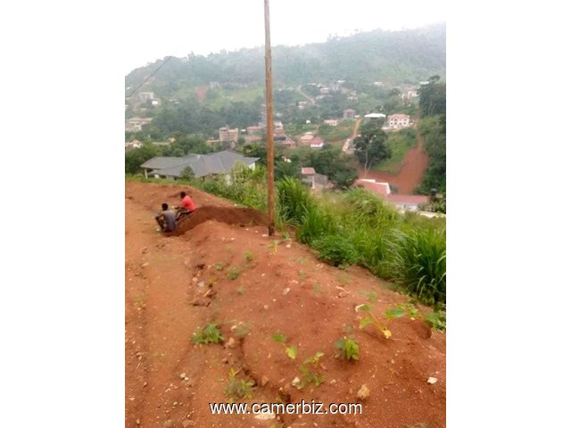 Terrain titré à vendre à Febe village Yaoundé à un prix cadeau. SUPERFICIE: 535m² - 34650