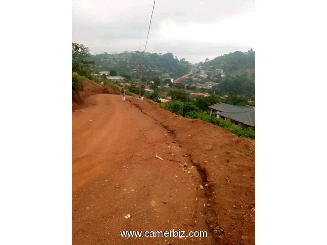 Terrain titré à vendre à Febe village Yaoundé à un prix cadeau. SUPERFICIE: 535m² - 34650