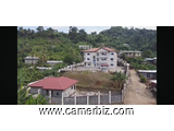 GRAND VILLA ÉQUIPÉ SUR UNE SUPERFICIE DE 3500M2 A VENDRE AU DOWN BEACH-CENTRE VILLE LIMBE - 34652