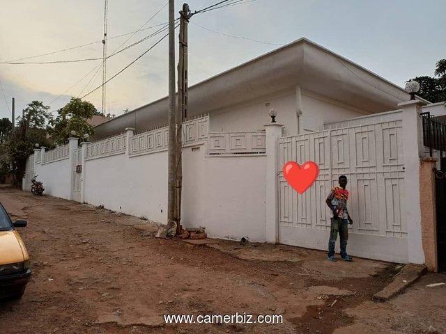 Villa titrée avec piscine, espace vert, forage parking à vendre à Bastos.  - 34724