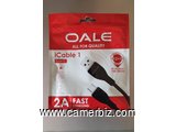 OALE iCable 1 - Cable de chargeur durable - Type USB C - charge rapide - longueur 1 m 