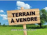 GT Sarl vous propose le terrain d'une superficie de 500m2 à Yaoundé Carrière sur la route de Monti  - 35172