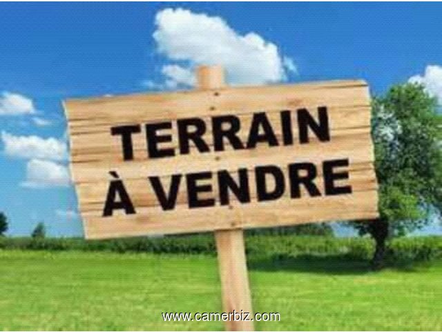 GT Sarl vous propose :  Terrain à vendre à Ekounou en face stade abega à 100m de l'axe principale - 35179