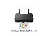 Imprimante Pixma Ts 304 Monofonctions - Jet D'Encre - Wifi - Noir